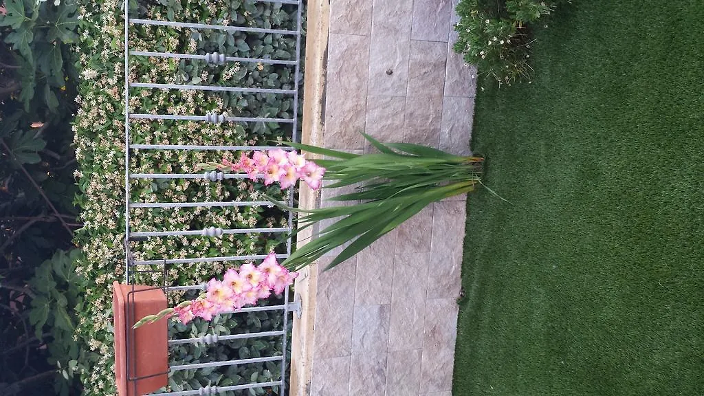 Holiday home Casa Con Giardino Villa Olbia